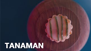 Tanaman - amazing philosophy creates food with seasonal and local plants 4K