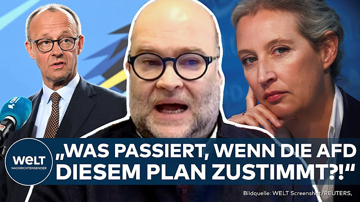 MERZ UND DIE AFD: Brandmauer unter Druck - Wie weit geht die Union im Migrationsstreit?