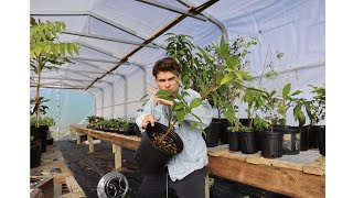 Carport Frame Greenhouse In Depth Tour