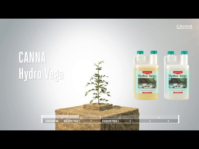 Watch (Deutsch) CANNA Hydro Vega on YouTube.