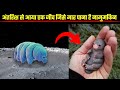 🤯 ये जानवर अजर-अमर हैं 😱 जो कभी नही मर सकता | Immortal animal #shorts