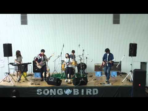 スピッツ　鳥になって copy