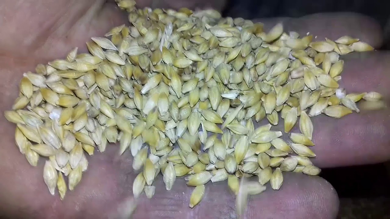 Зерноочисна машина своїми руками