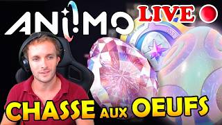 Aniimo Chasse Aux Œufs En Live Reliques Œufs Prismana