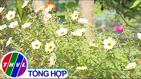 Các xã nông thôn mới nâng cao tiêu chí thu nhập