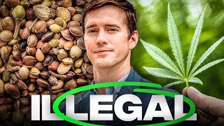 THCa Loophole explained by Cannabis Industry Lawyer | marijuana legalized by 2018 Farm Bill