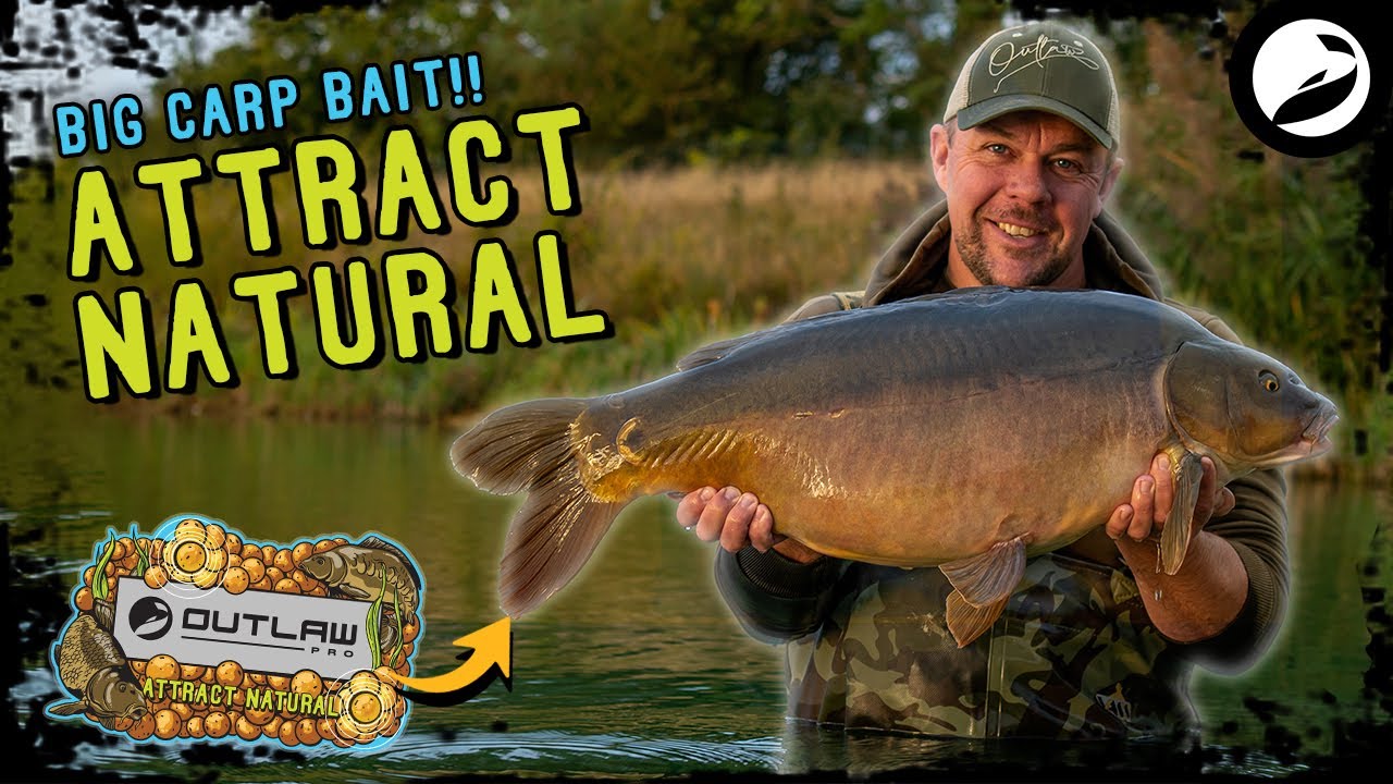 💪🏻 CATCH MORE CARP with the EXCLUSIVE Attract Natural Range 