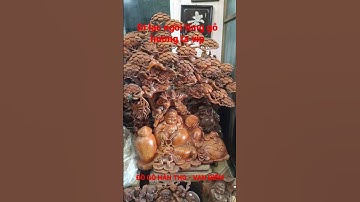 tượng di lạc ngồi gốc tùng gỗ hương ta VIP