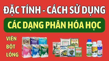 Đặc tính - Cách sử dụng từng dạng phân hóa học: Dạng viên, dạng bột hòa tan và dạng lỏng