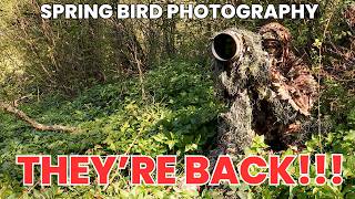 Summer Migrants - Garden Bird Photography - Camo To Get You Closer