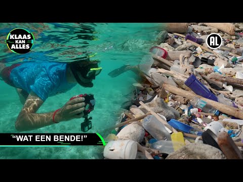 SNORKELEN MET SCHILDPADDEN // Kan Klaas voor één dag schildpaddenconservator zijn?