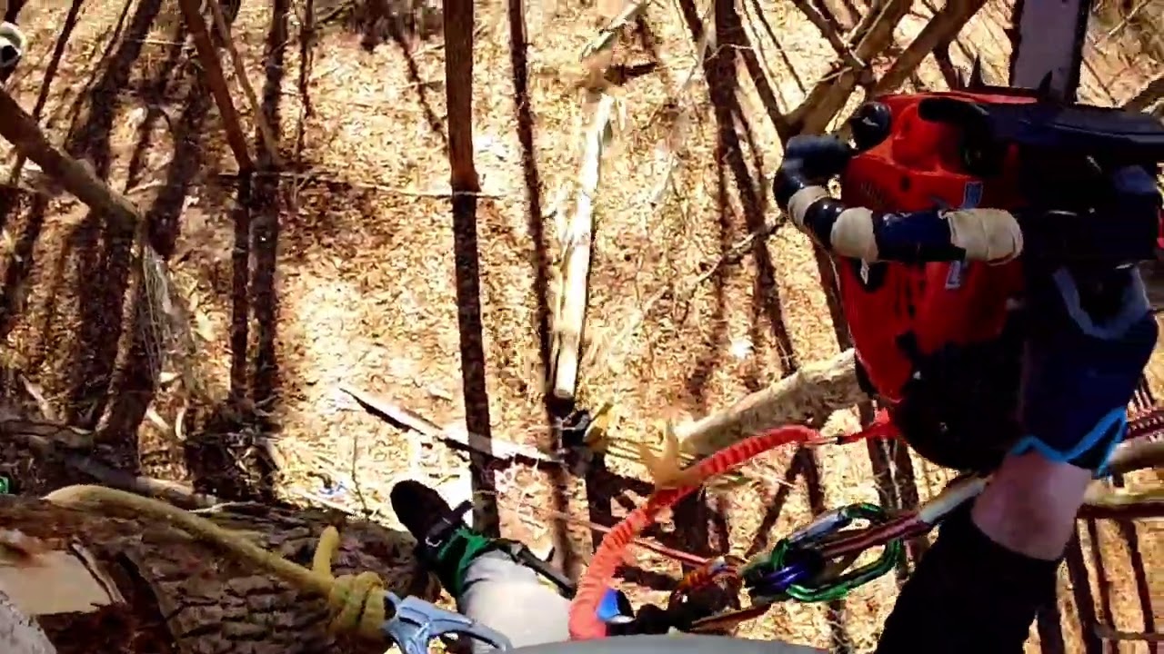 Taking down a risky one. VERY HOLLOW  