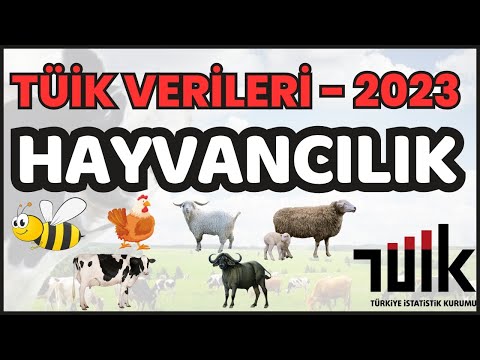 2023 TÜİK VERİLERİ - HAYVANCILIK / ENES HOCA