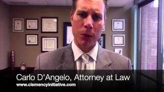 Clemency Initiative Attorney