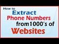 Phone Number Web Extractor 3.1 Cracked