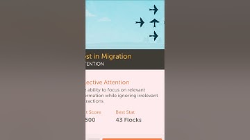 LOST IN MIGRATION - LUMOSITY - #watchme