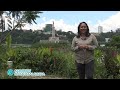 SAROBIDY NY FAHASALAMANA  ZAZA AN-TSOSO KODITRA DU 21 JANVIER 2026 BY TV PLUS MADAGASCAR