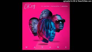 Ckay Ft Davido, Focalistic & Abidoza - Watawi (Official Audio)