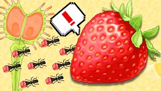 New SUPER Weapon Update and Strawberries in Pocket Ants Mobile!