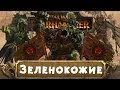 Зеленокожие (знакомимся с Вархаммер) | Total War: Warhammer