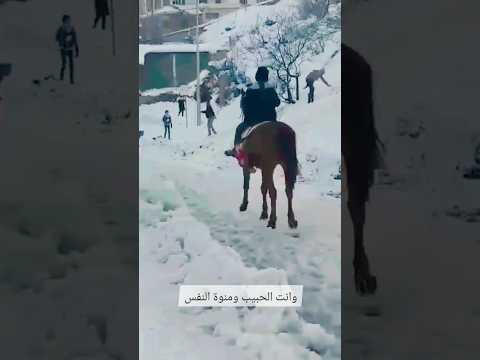 الخيل حصان ورياض كل شي له حد ومقياس القلب رياض