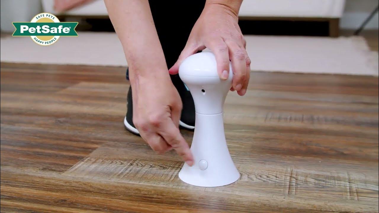 PetSafe® Automatic MultiLaser Cat Toy YouTube