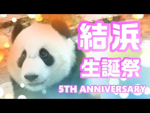 PANDA KENJI - YouTube
