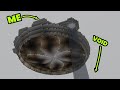 Everywhere I Look, Void - Iridium Skyblock