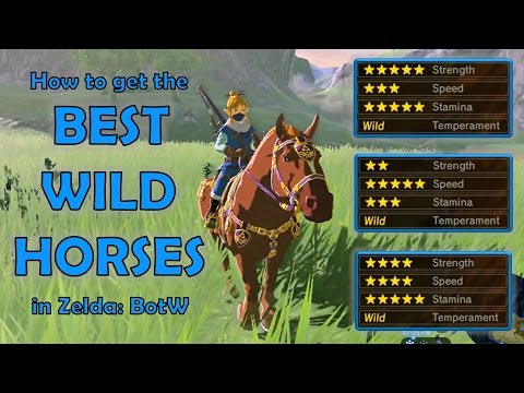 Wideo: Zelda: Breath Of The Wild Horses - Jak Oswoić Konia, Korzystać Ze Stajni I Zdobyć Epona