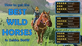 How To Complete Blynne S Obstacle Course At The Highland Stable And Get His Horse Gear Youtube