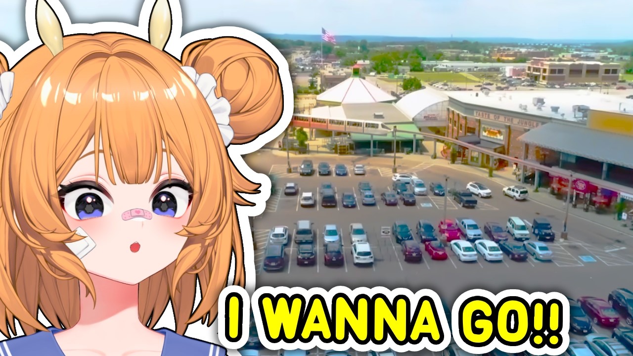 German Vtuber Reacts To America's LARGEST Grocery Store Should Be Out Of Business