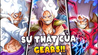 Những Sự Thật Về Gear 5 Và Các Trạng Thái Chiến Đấu Của Luffy Mà Bạn Chưa Biết?