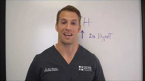 Thyroid Symptoms but Normal Labs - What is the Problem? - Functional Nugget #419