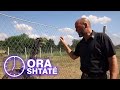 Ora 7 - Osman Arifi, personi që kujdeset për shqiponjë dhe dhjeta shpezë tjera - Klan Kosova