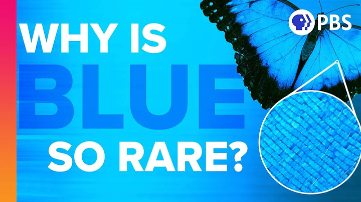 Why Is Blue So Rare In Nature? - DayDayNews