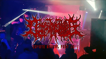 DECOMPOSITION OF ENTRAILS - Coyote Brutal Fest 16 (Moscow, 6 March, 2022, club Gorod) #RUMF #SBDM