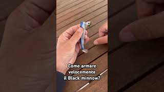 Come armare velocemente il Black Minnow? #blackminnow #fiiish #branzino #spigola #lagunadivenezia