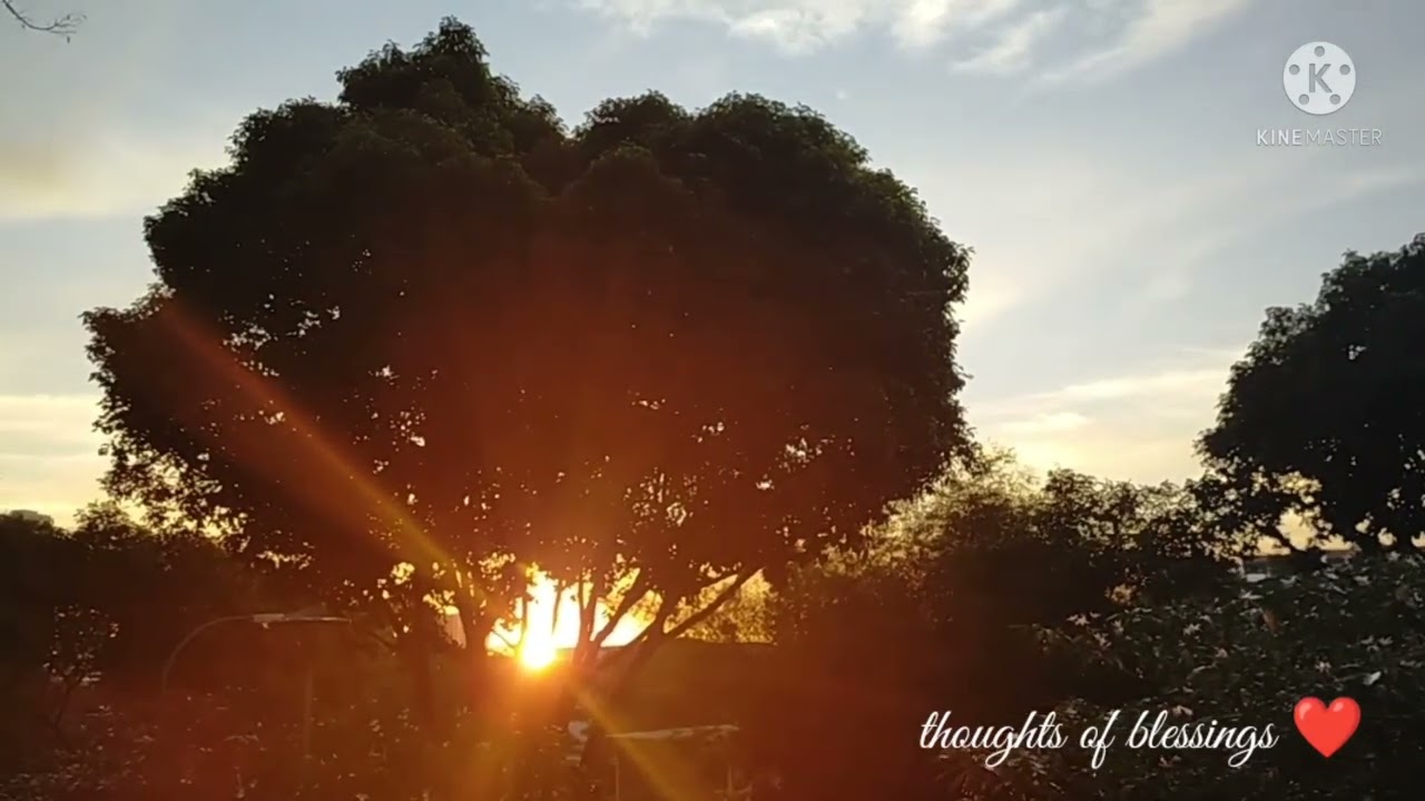 to you beloved daughter of GOD,