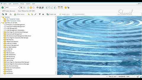26 - SAP GRC - ARA - RULE SETS