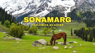 SONAMARG Wasn’t What I Expected! 🏔️ | Thajiwas Glacier, Kashmir screenshot 2