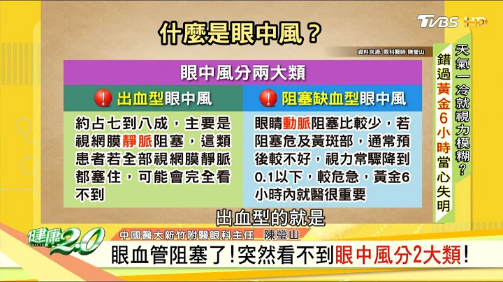 眼血管阻塞了！突然看不到眼中風分2大類！ 健康2.0 - 天天要聞