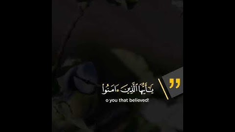 تلاوة خاشعة وآية مباركة من سورة الأحزاب.📚/القارئ عمر الدريويز../حالات واتس أب دينية..💞