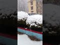 #youtubeshort #snowfall