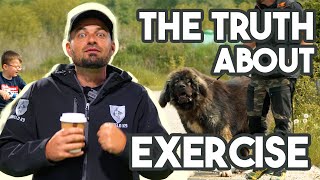 How much exercise does your dog REALLY need?
