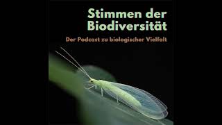 sdb3: 1. Rundgang in den Entomologischen Sammlungen mit Dr. Martin Sorg