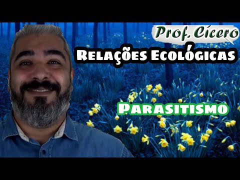 Vídeo: O Que é Parasitismo