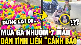 Mua đàn gà 'NHUỘM 7 SẮC' cho con trai, người mẹ được dân tình khuyên KHÔNG NÊN | Tin Nhanh Official