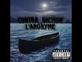 Lanonyme Contra Diction Fennecdor DkL 