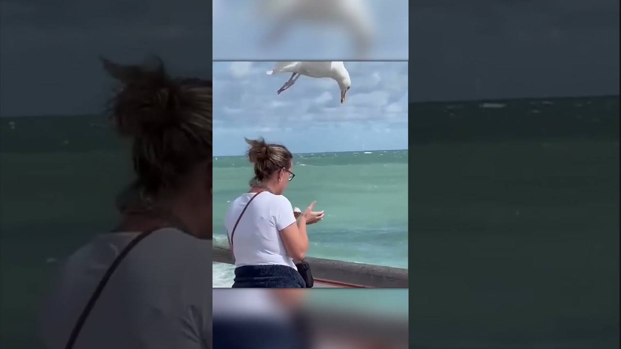 The Sneakiest Ice Cream Thief Caught On Camera 