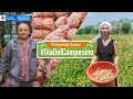 Celebración  Día del Campesino 2022